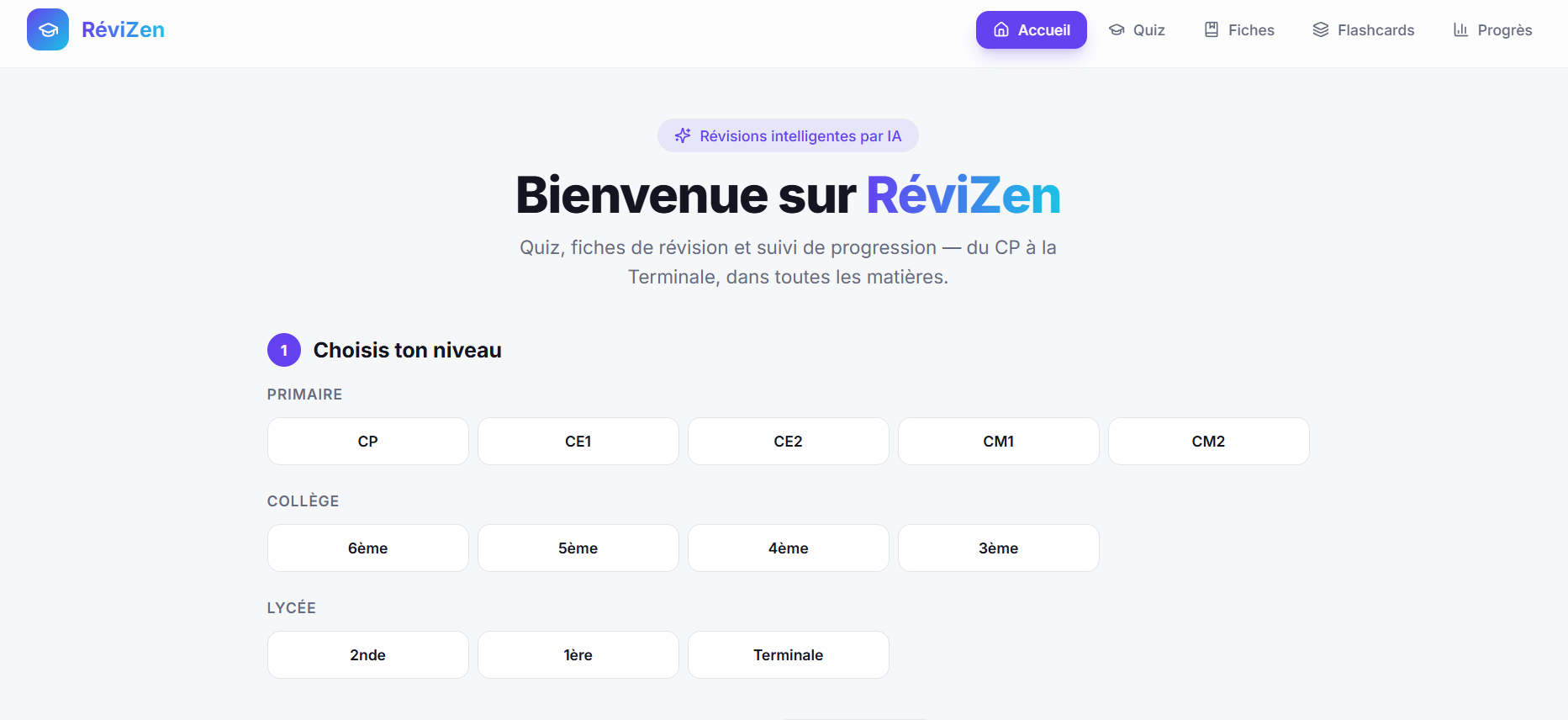 Revizio template preview