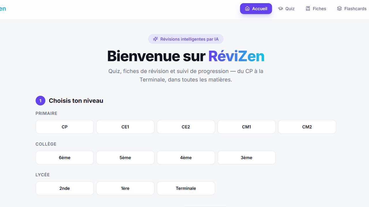 Revizio template preview
