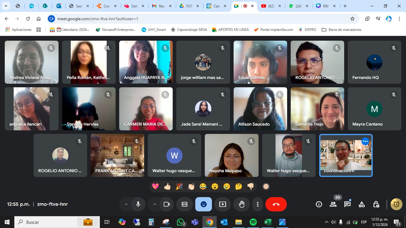 Reunión virtual del equipo de voluntariado