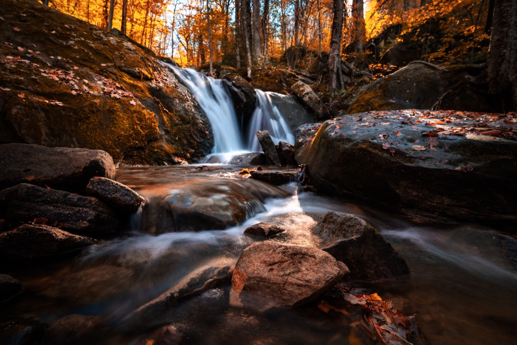 PA Wilds landscape