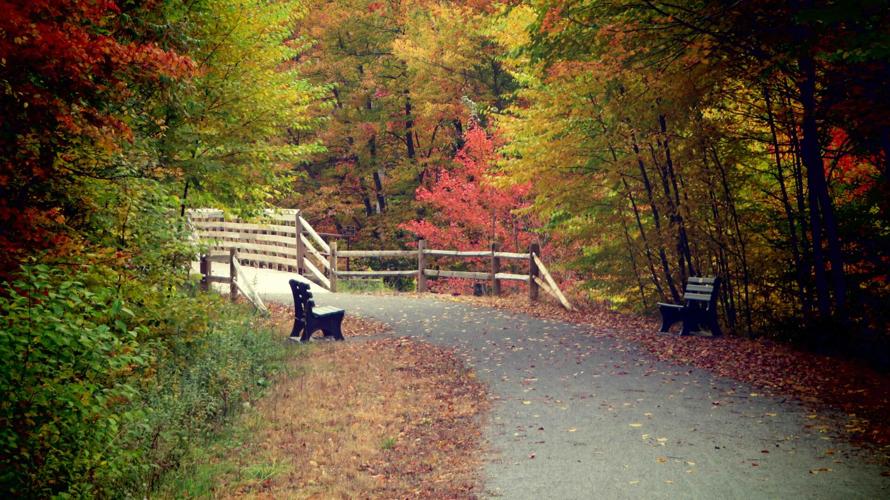 Knox & Kane Rail Trail