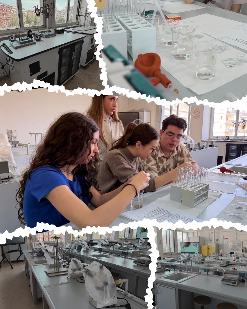 Joi, 16 aprilie – 'Labs, laws and debate'