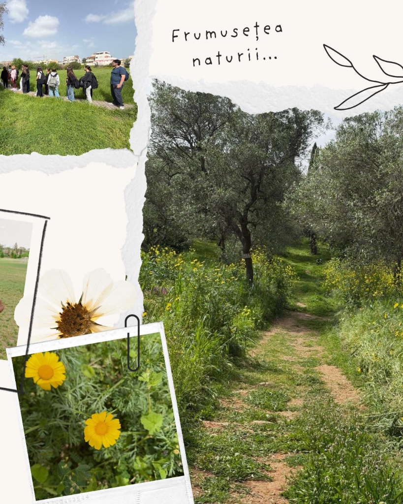 ZIUA 2 – Vizită educativă în Parcul Natural 'Lama Martina', alături de Liceo Fornari · Molfetta, Italia