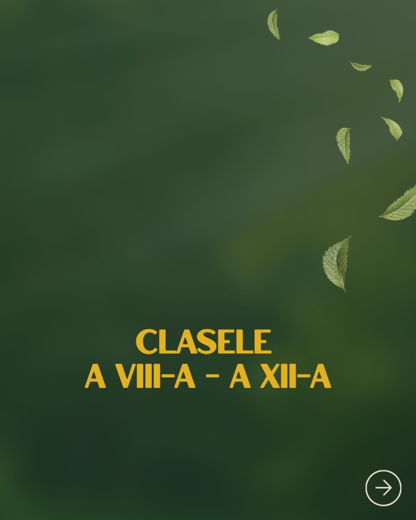 FESTIVALUL COSTUMELOR ECOLOGICE – EDIȚIA A III-A 🌿♻️