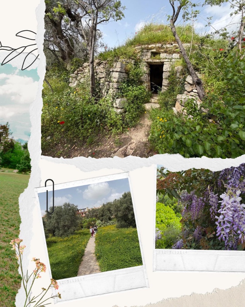 ZIUA 2 – Vizită educativă în Parcul Natural 'Lama Martina', alături de Liceo Fornari · Molfetta, Italia