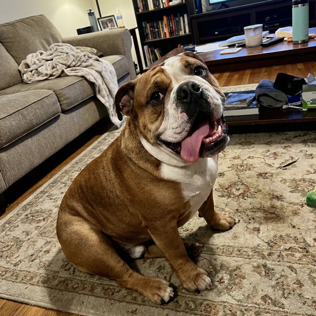 Charlie