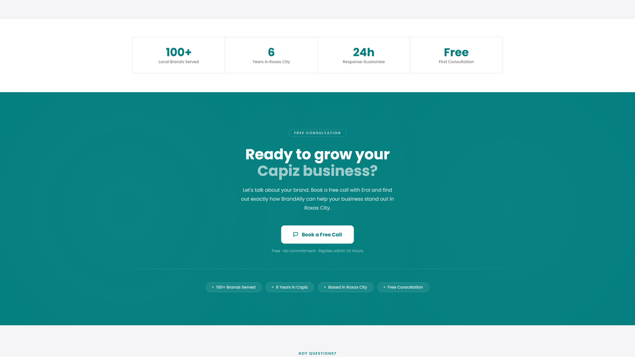 Brandally Dashboard template preview