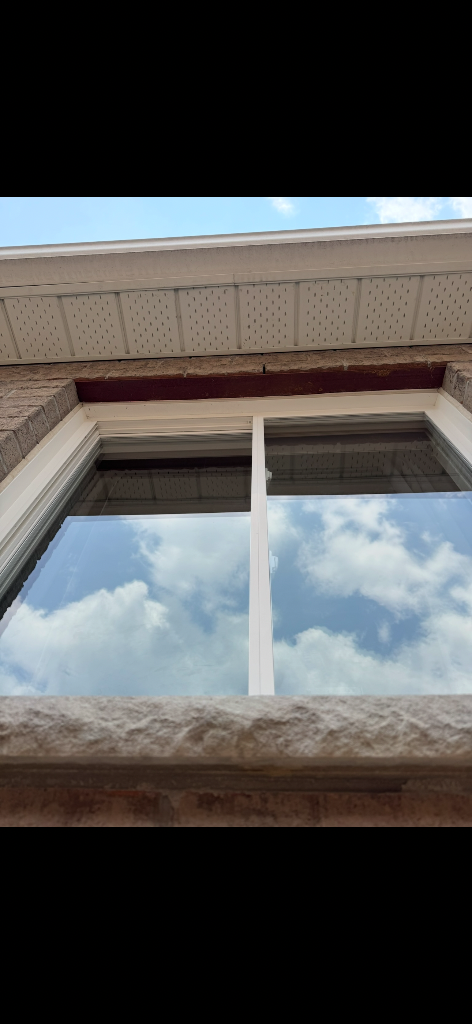 Spotless exterior windows after professional cleaning by True Shine