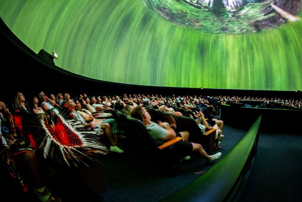 Screening 1
