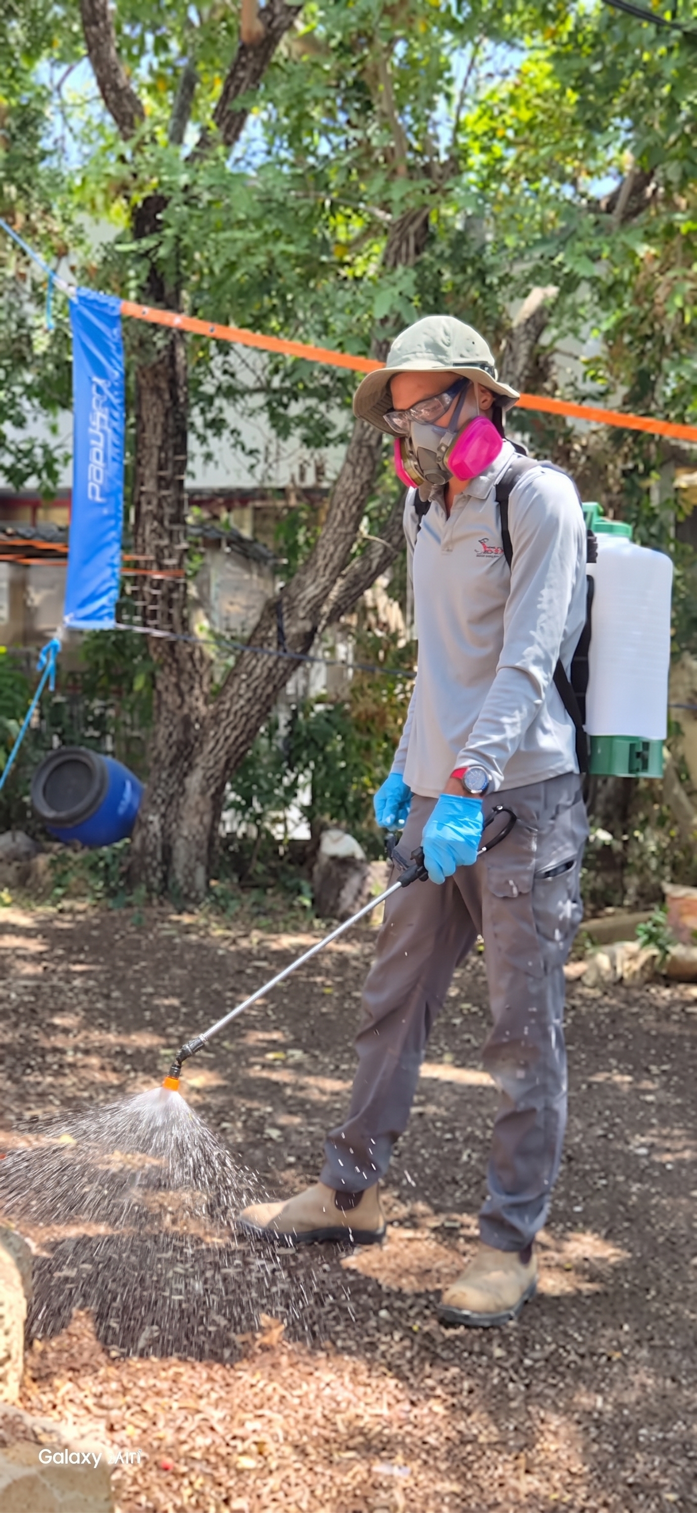 שירותי הדברה מקצועיים – מדביר מוסמך עם רישיון המשרד להגנת הסביבה מס׳ 3780