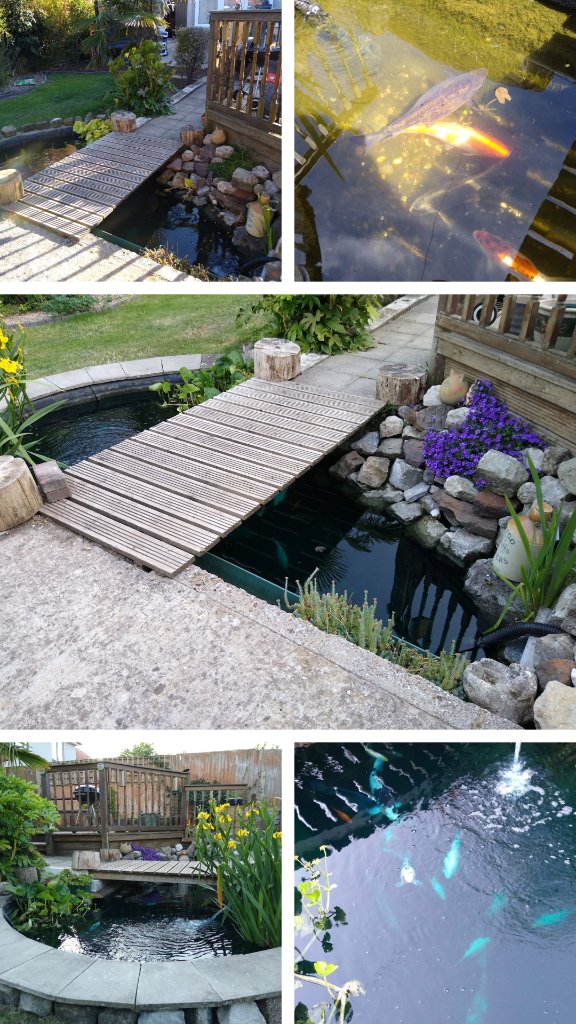 Garden Pond Maintenance