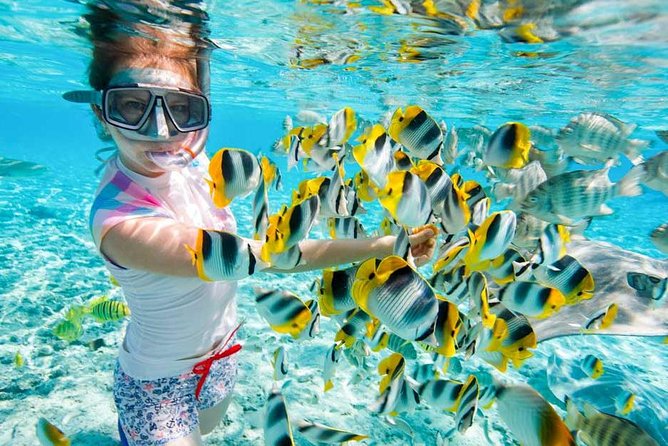 Snorkelling
