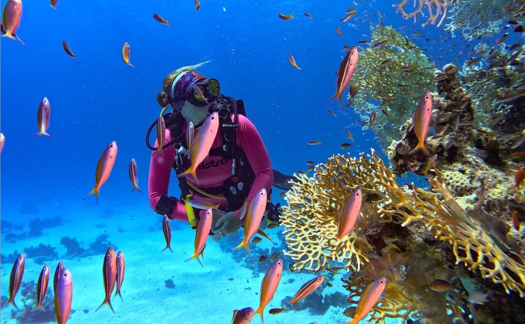 Scuba Diving