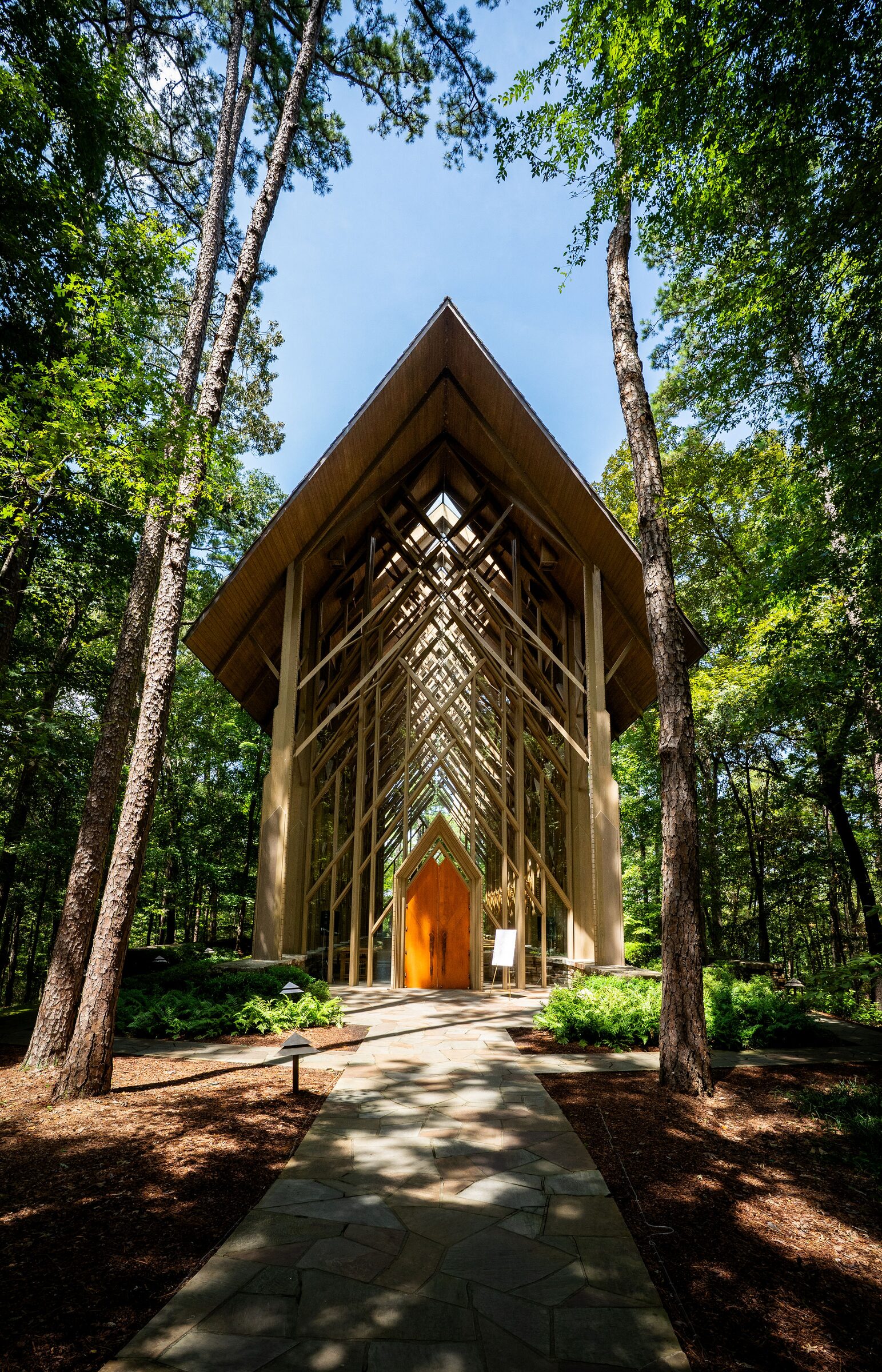 Glass and timber chapel rising from the forest