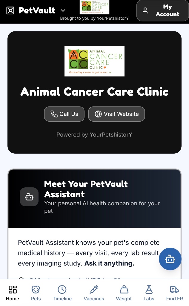 Example practice branding on client homepage