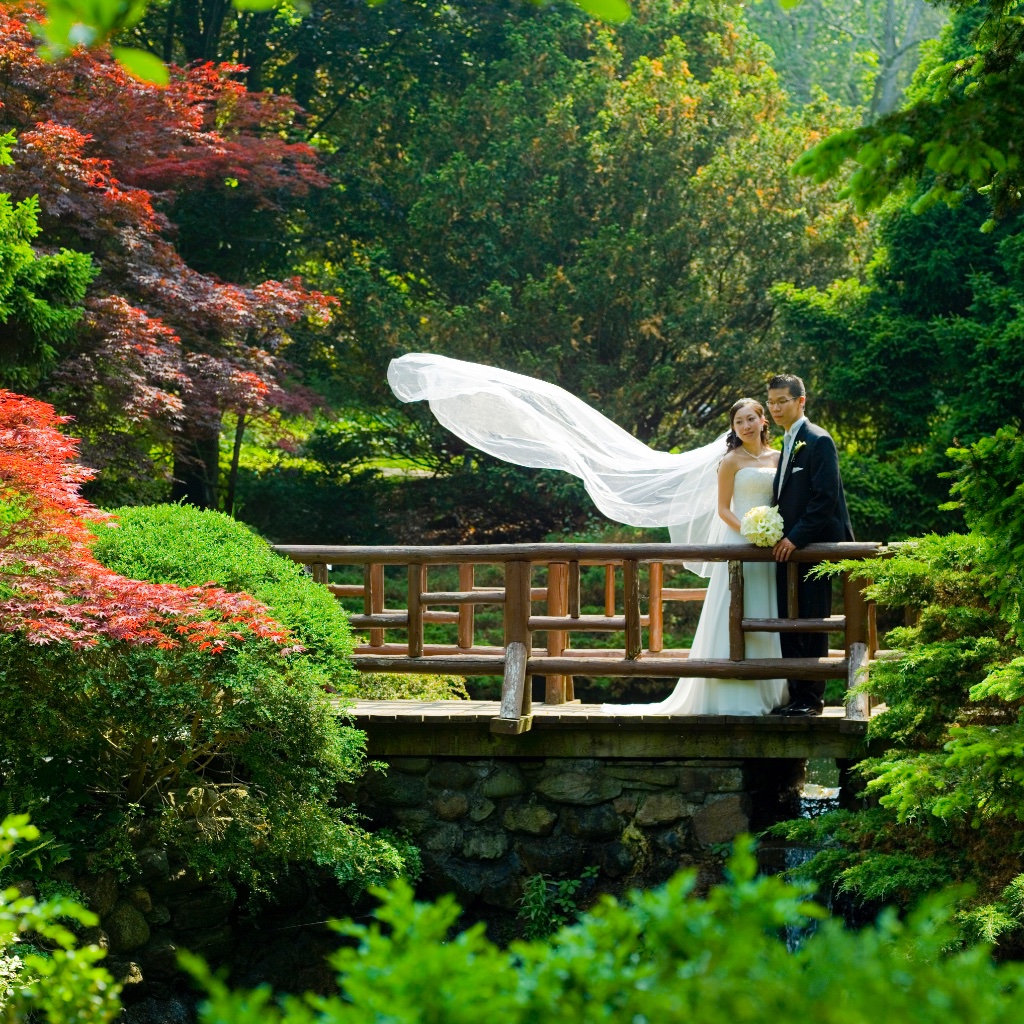 Wedding photo 4