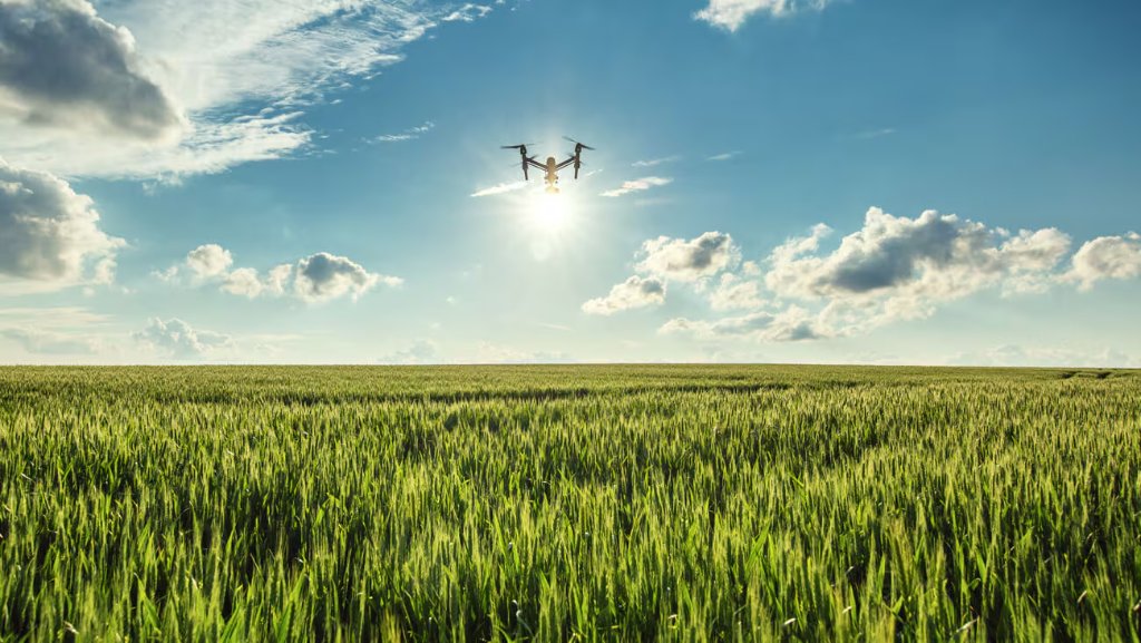 Drone over farm field
