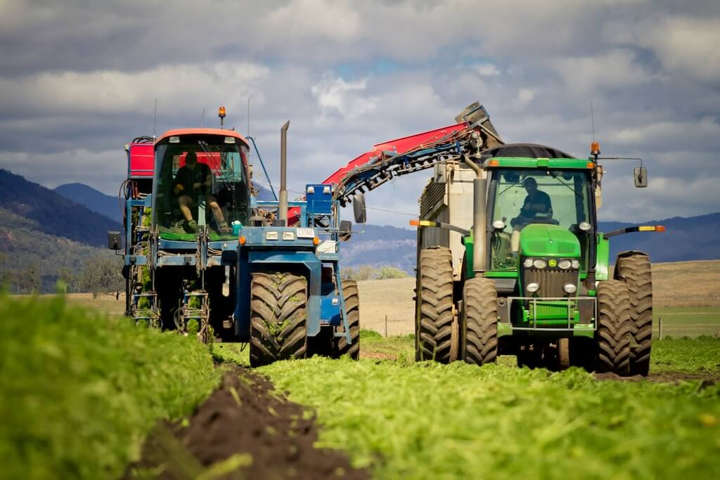 Driving rapid retail growth in the fresh cuts category through focused commercial execution