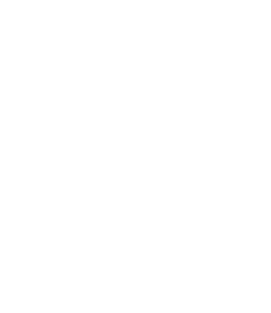 IAconsig