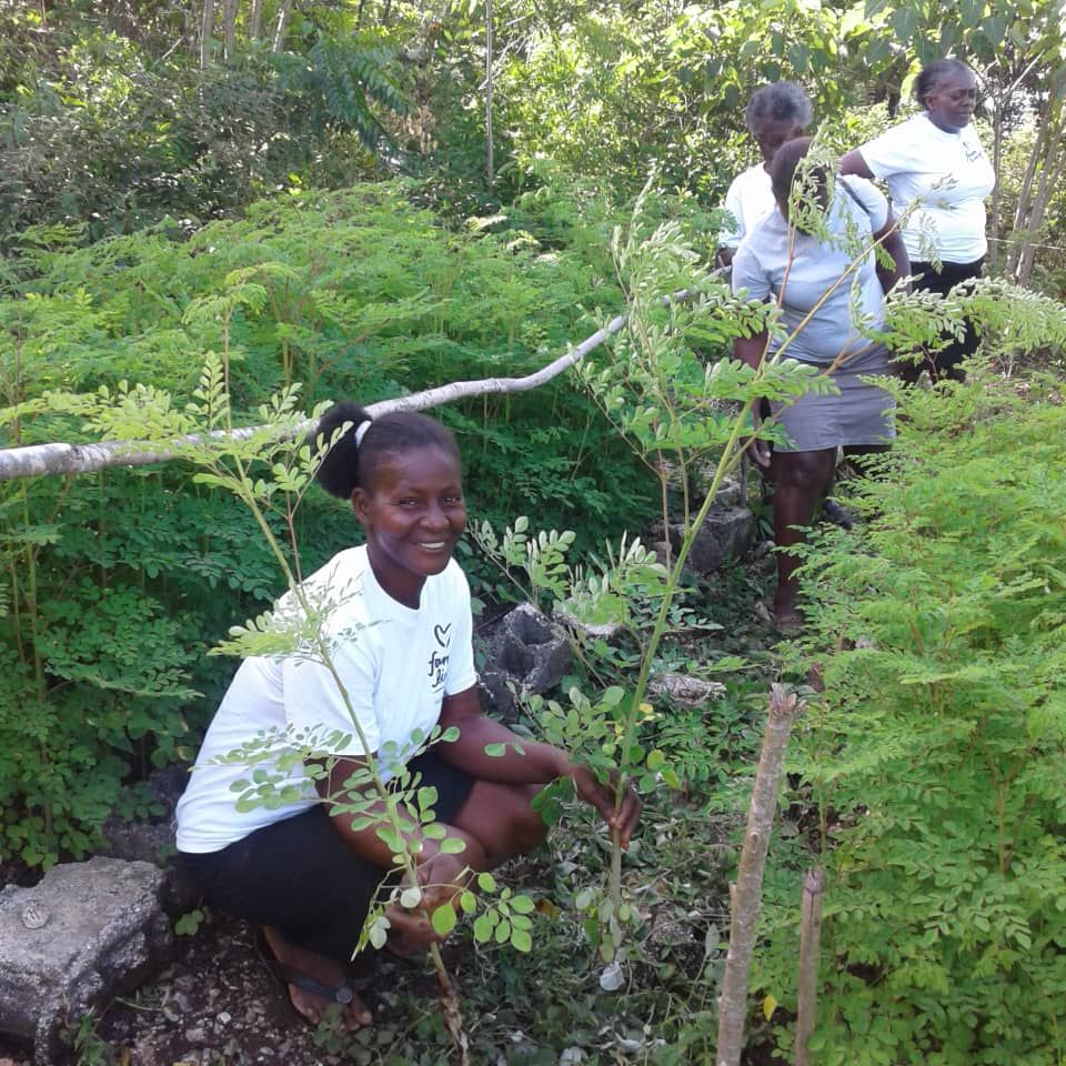 Environmental impact