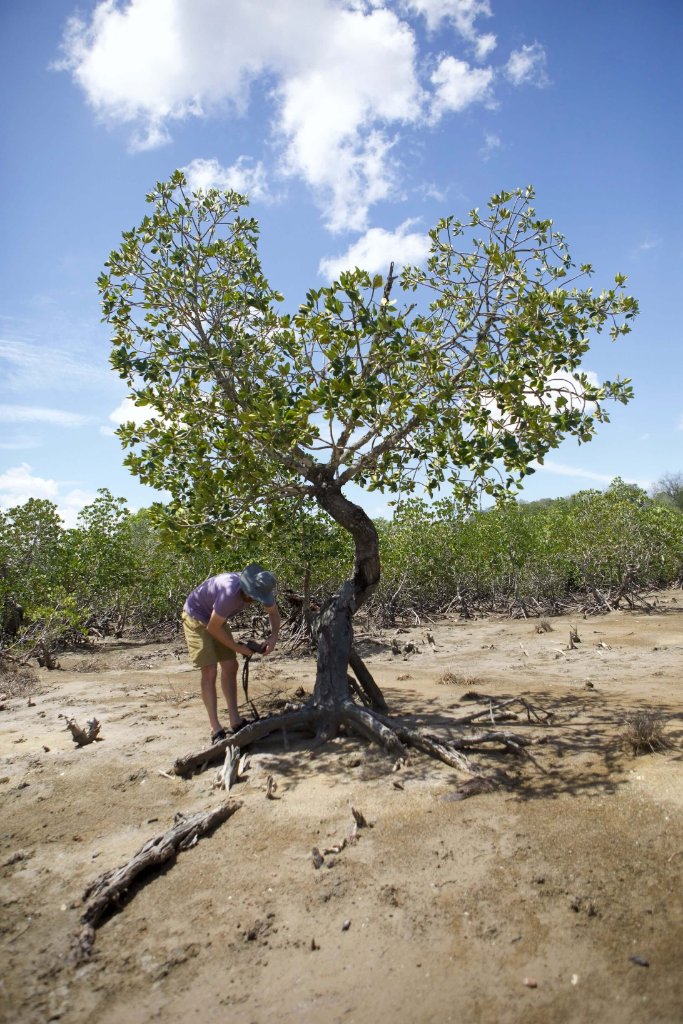 Environmental impact