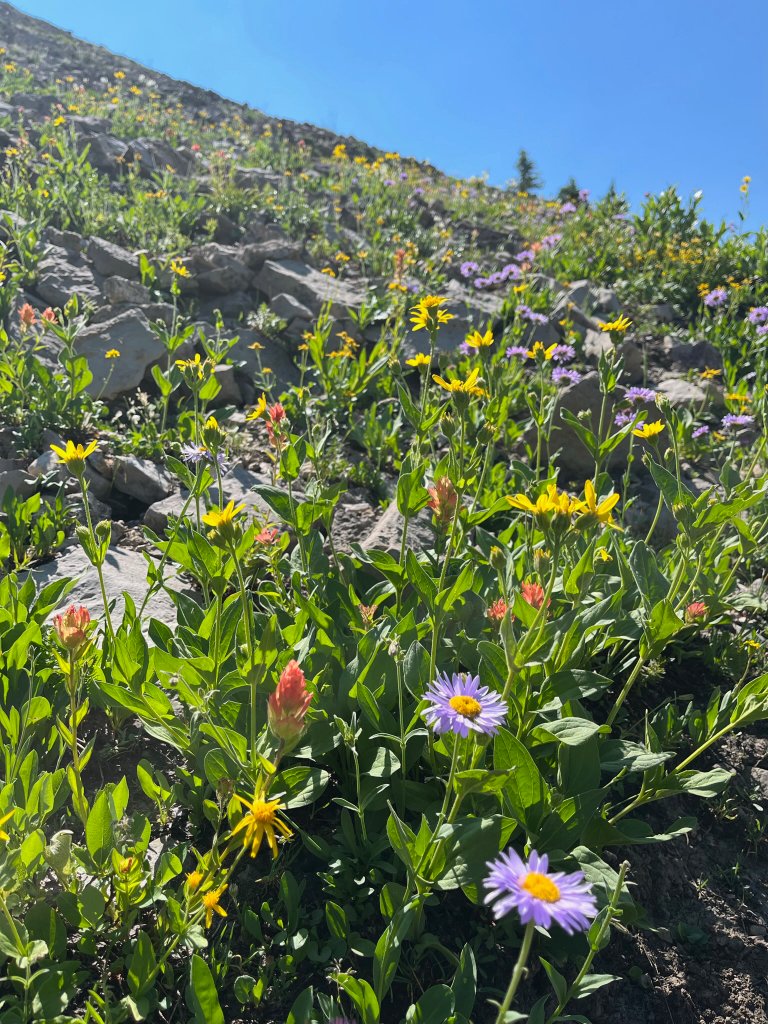 WholeFam field research photo