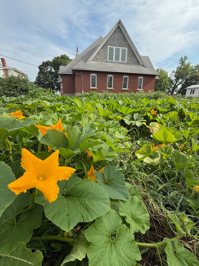 WholeFam field research photo