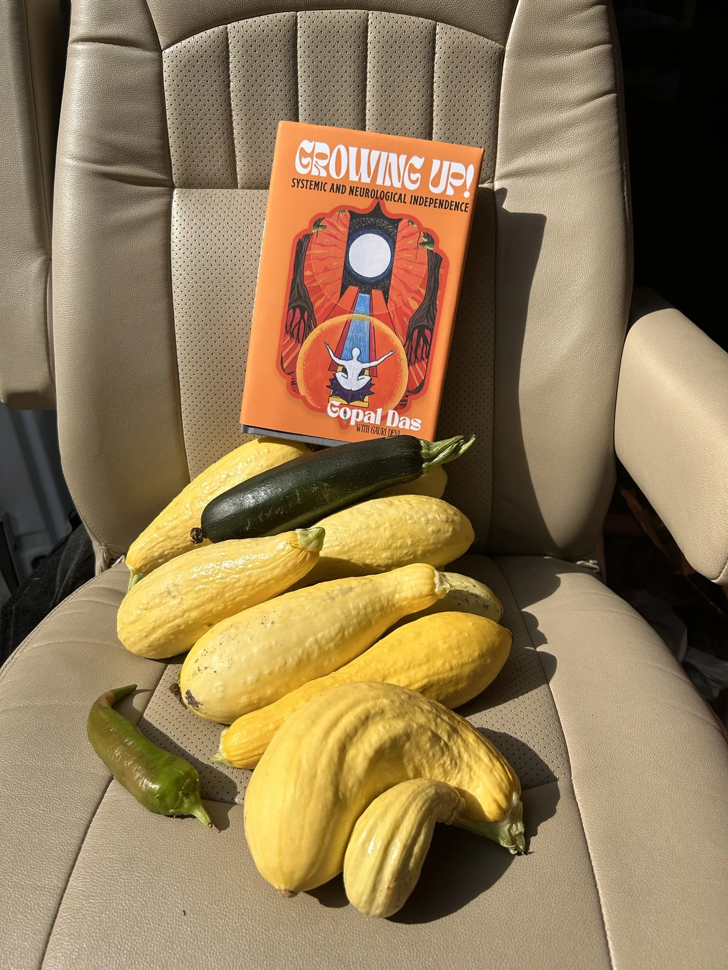 WholeFam field research photo
