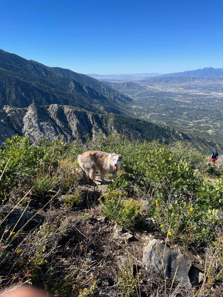 WholeFam field research photo