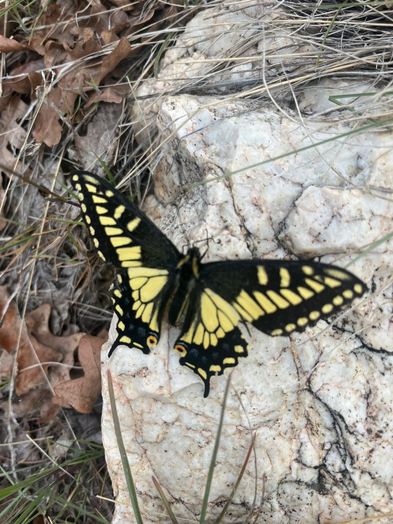 WholeFam field research photo