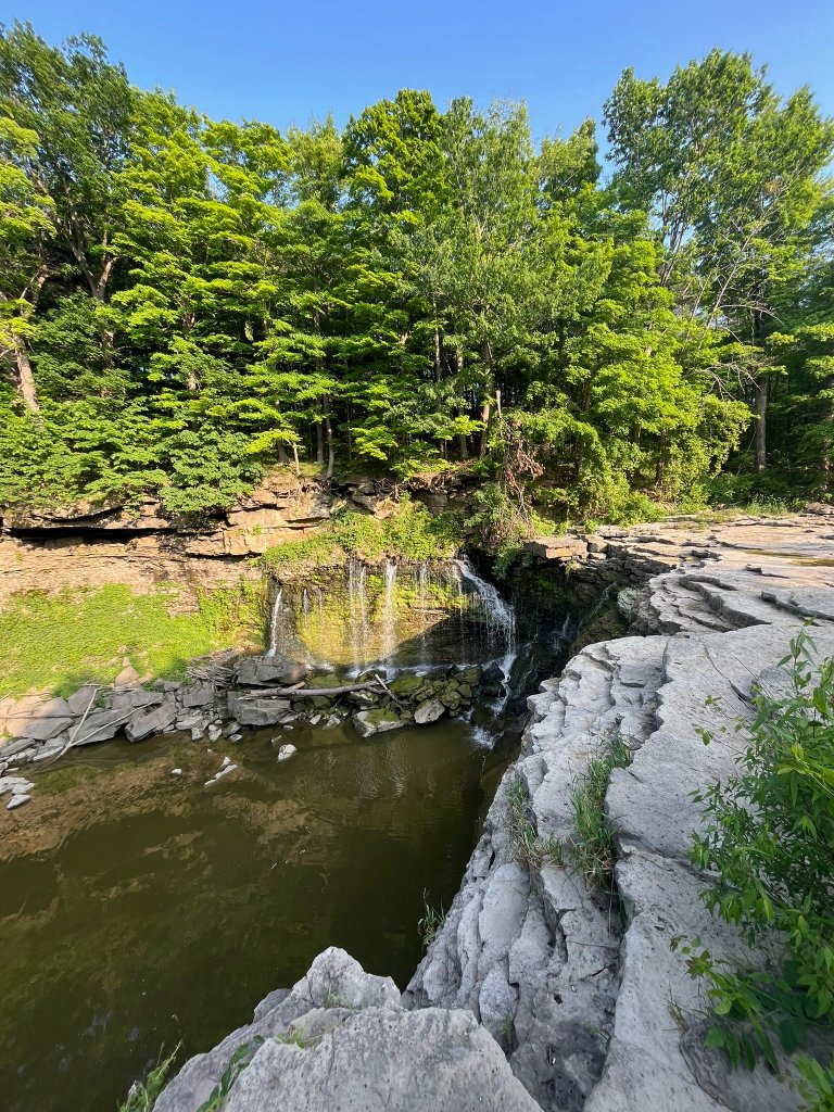 WholeFam field research photo