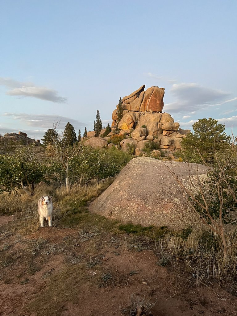 WholeFam field research photo