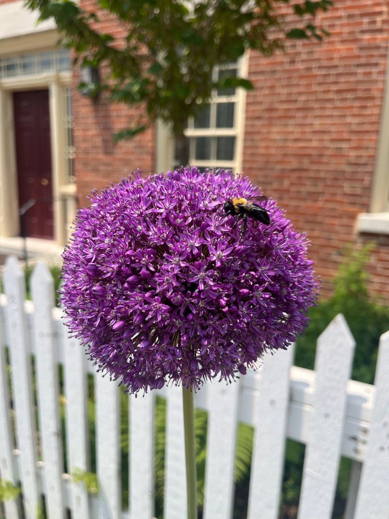 WholeFam field research photo