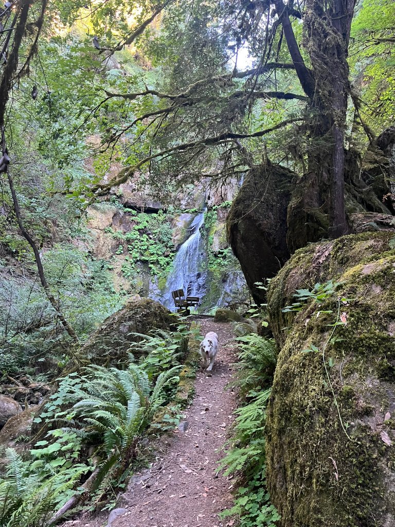 WholeFam field research photo