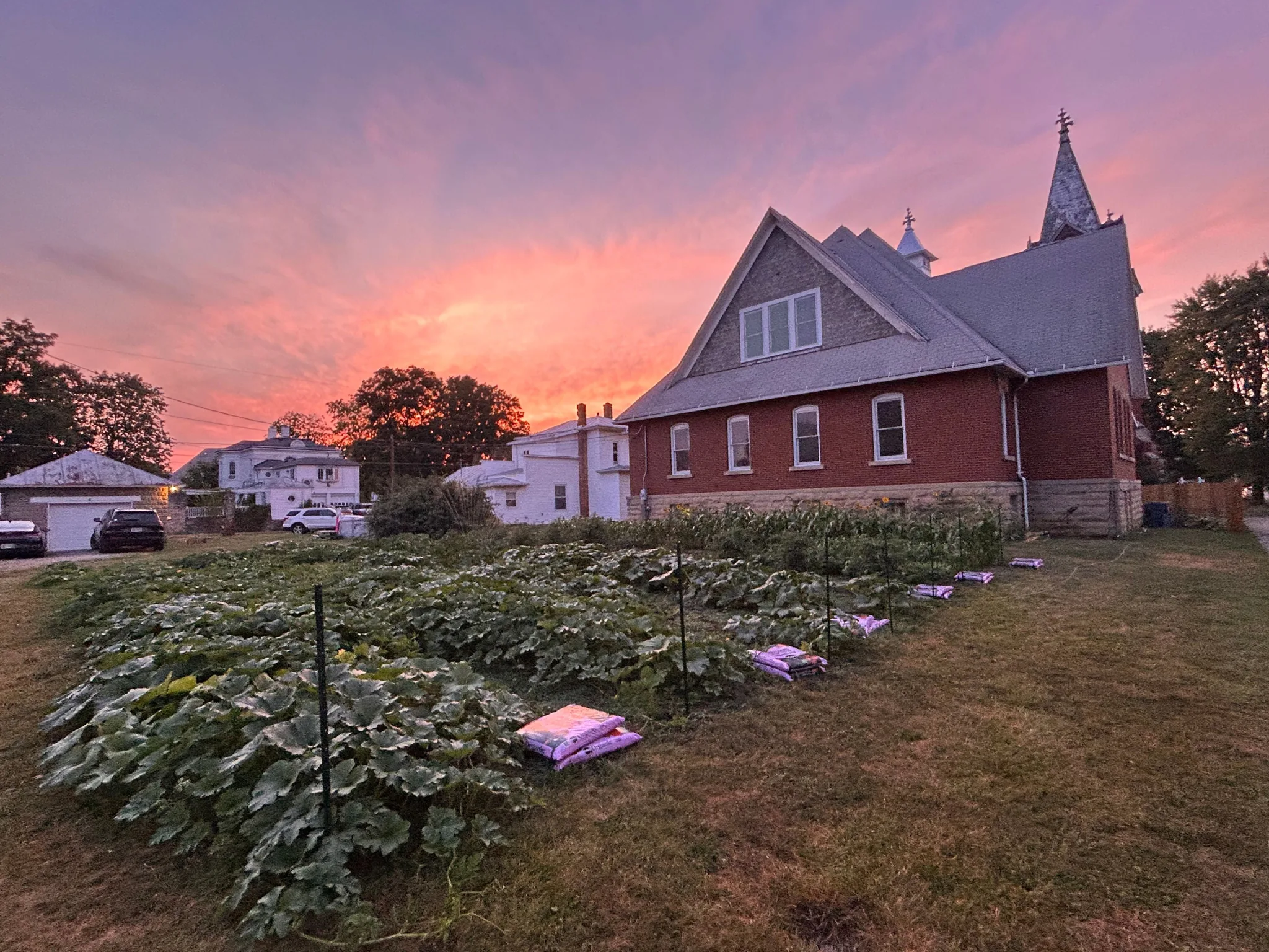 WholeFam field research photo