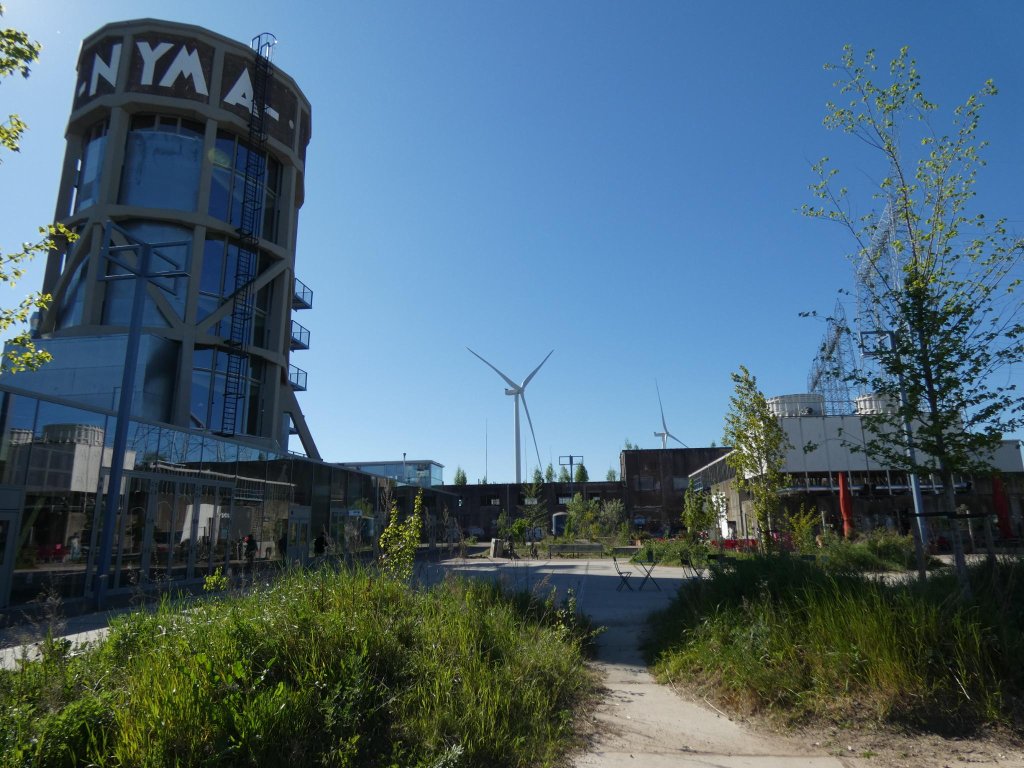 Urban Rewilding NYMA