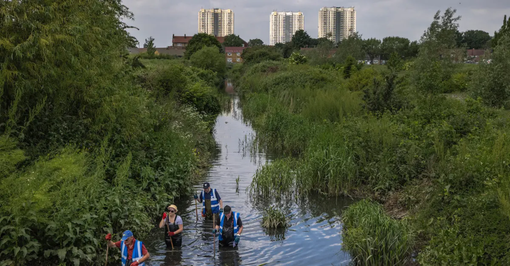 Volunteers working in an urban waterway