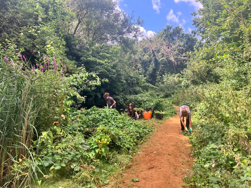 Edith Gardens – Citizen Zoo