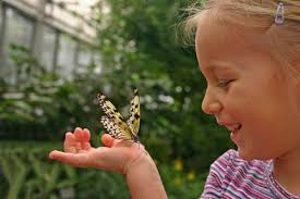 Young girl with butterfly on her hand in nature