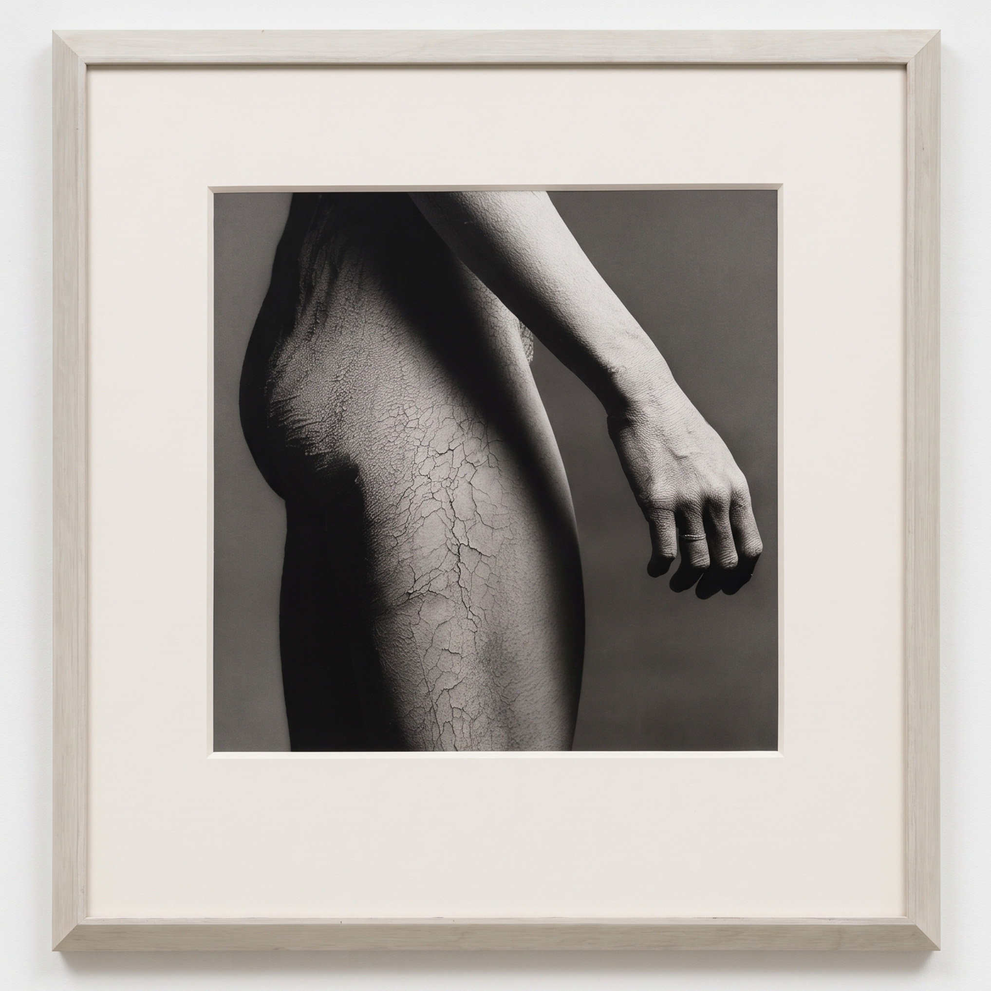 Robert Mapplethorpe, Lisa Lyon