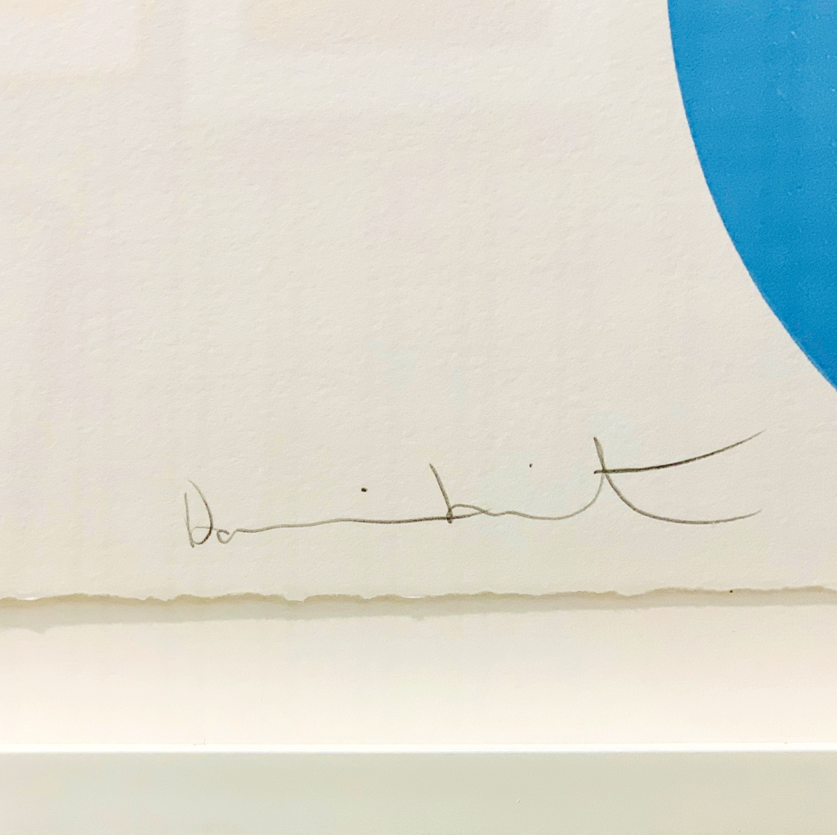 Damien Hirst, Tryptophan