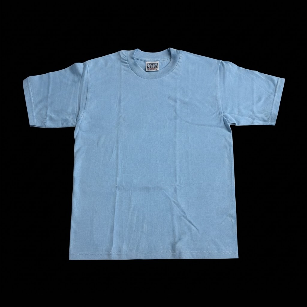 Pro Club Heavyweight T-Shirt Sky Blue