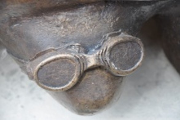 Swimming goggles detail
