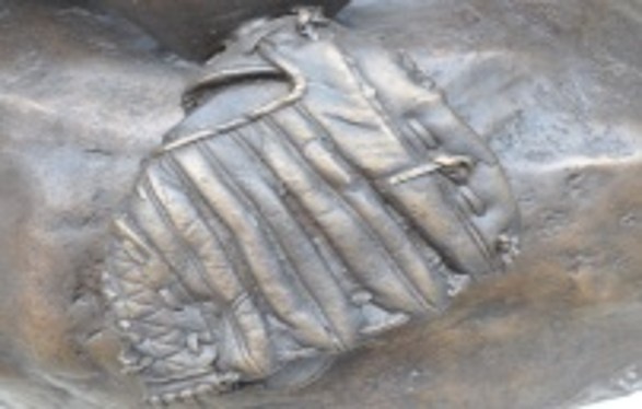 Baseball mitt detail