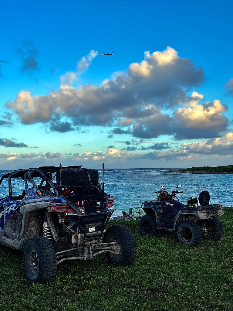 Beach Buggy Paradise