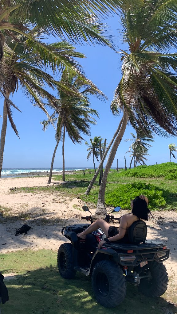 Beach Bliss