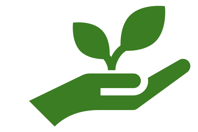 Sustainability and Efficiency