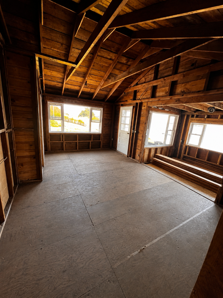 Interior Demolition