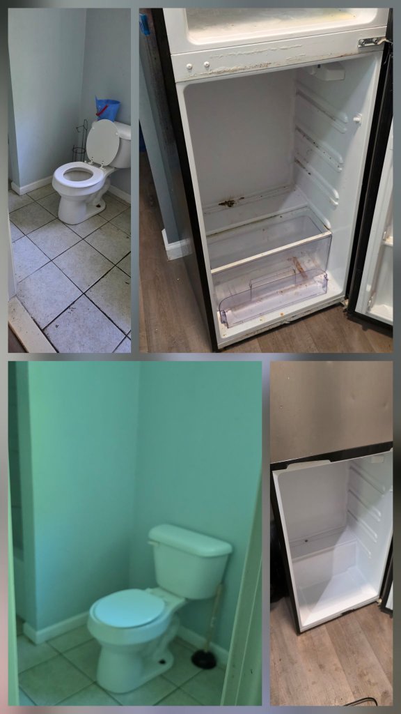 Bathroom & Fridge — Before & After