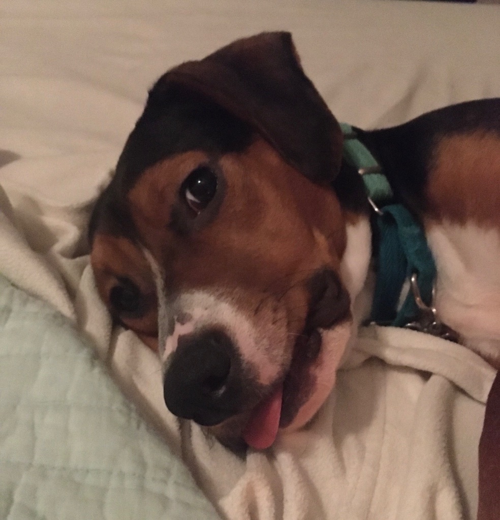 Chloe